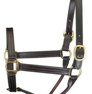 Premium Track 1" Leather Show Halter by Perri's Leather
